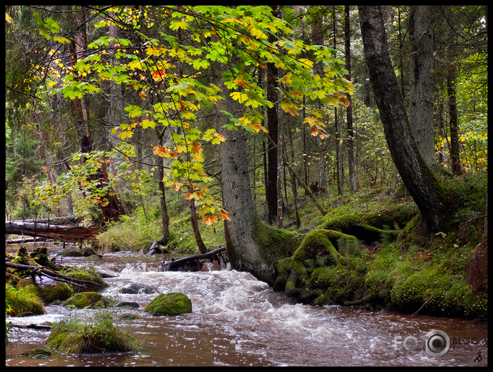 Rudens ūdeņi