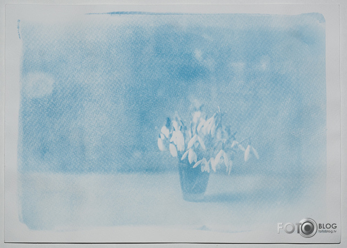 "Van Dyke" + "Cyanotype"