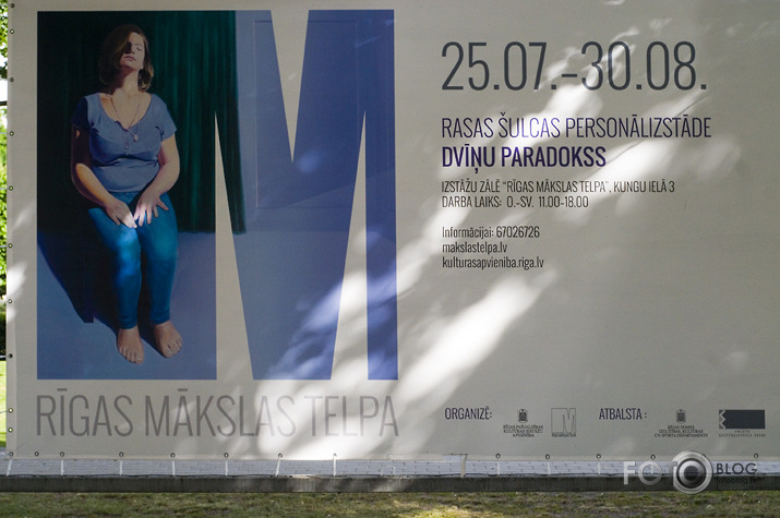 Rasas Šulcas dvīņu paradokss