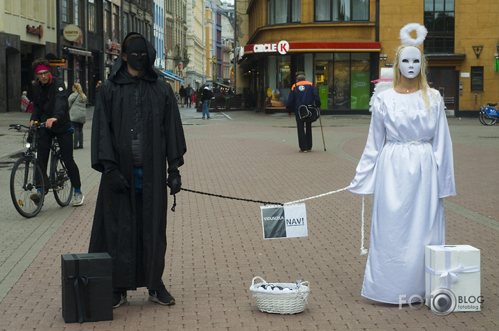 Rasas Šulcas dvīņu paradokss