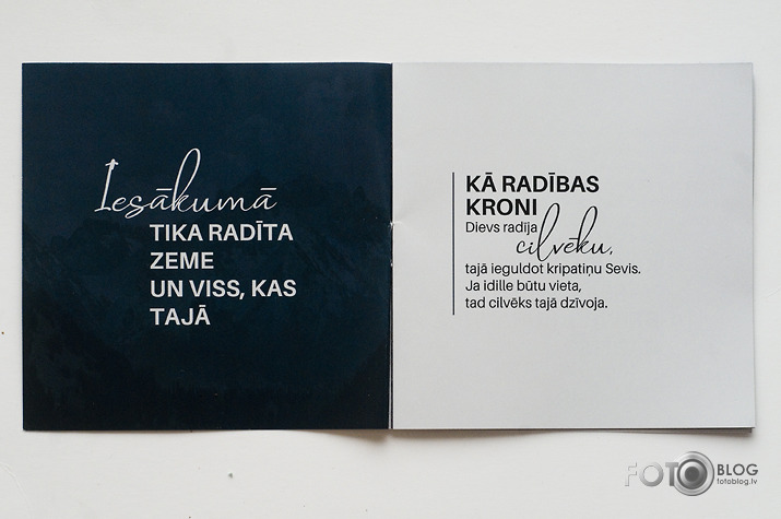 Rasas Šulcas dvīņu paradokss
