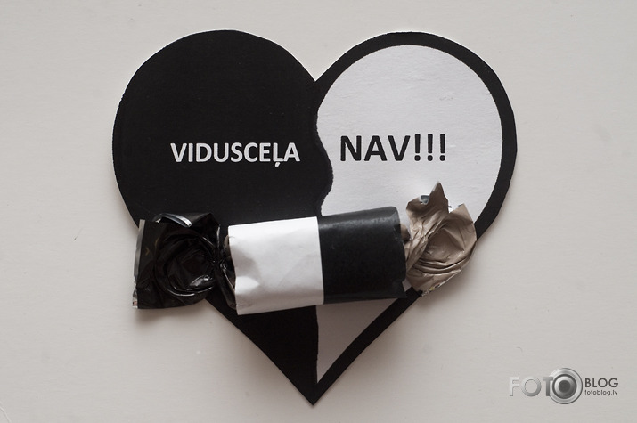 Rasas Šulcas dvīņu paradokss
