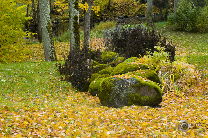 Dikļu pils