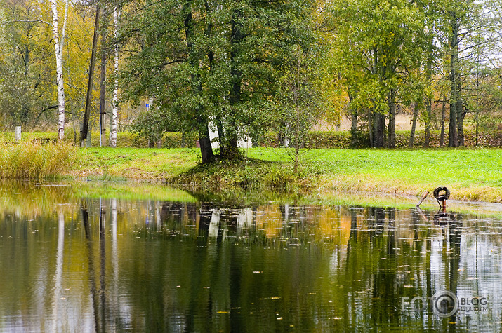 Dikļu pils