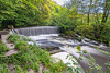 Yarrow Valley Country Park