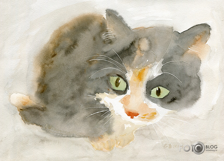 Akvarelis un kaķi