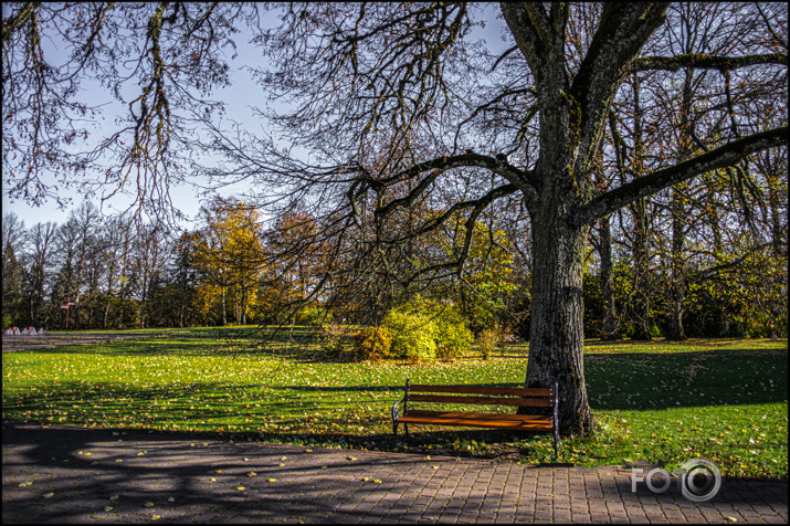 Rudens Mokās