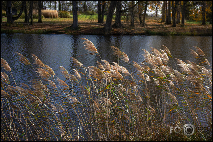 Rudens noskaņa