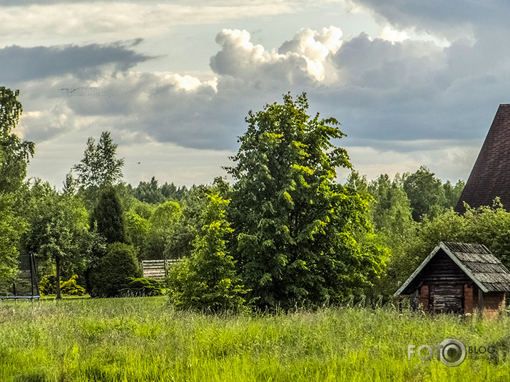 nenosaukti lauki