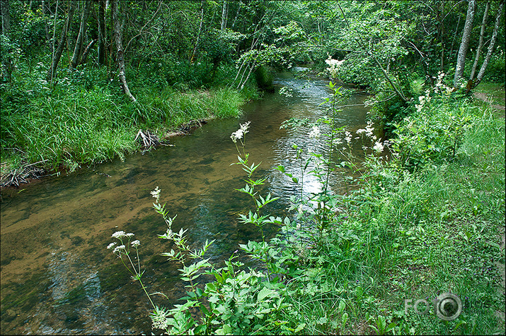 Vienkoču parkā