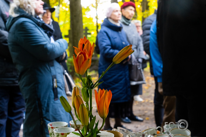 Kaspara Dimitera diska atpogāšana ar nejauši ieklīdušu ceka bildi