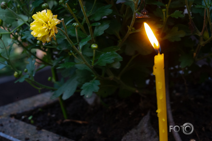 Kaspara Dimitera diska atpogāšana ar nejauši ieklīdušu ceka bildi