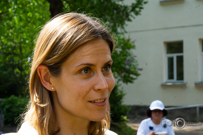 Kokstāde Putnu ielā