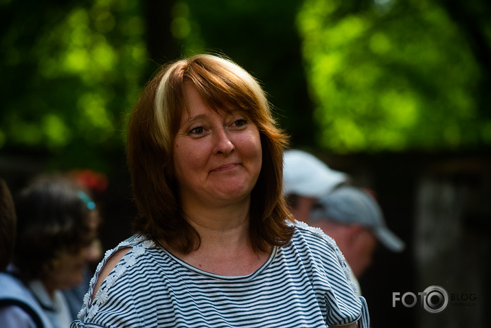 Kokstāde Putnu ielā