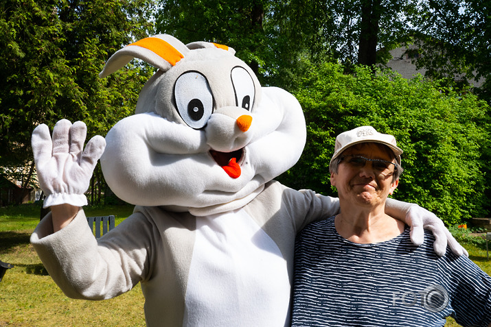 Kokstāde Putnu ielā