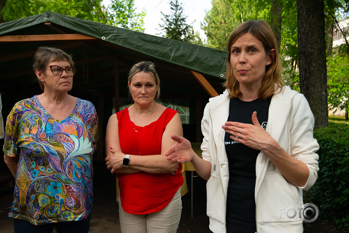 Kokstāde Putnu ielā