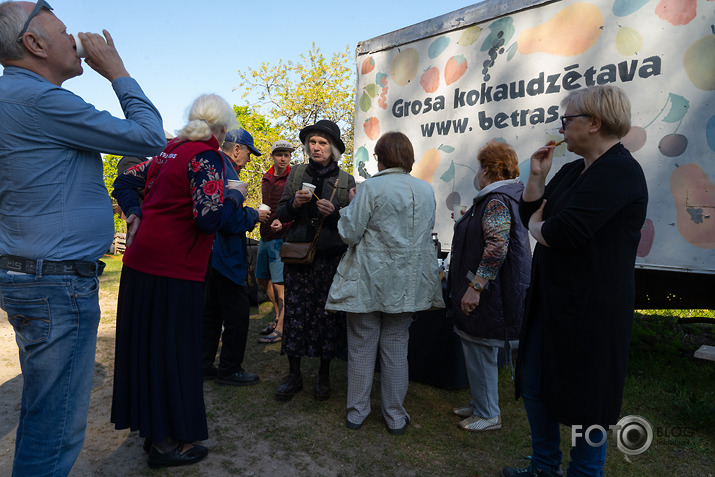 kokstāde Kurmenē