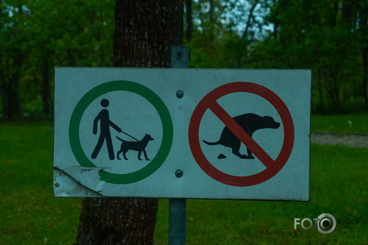 deju koncerts Ziemeļblāzmas klubā