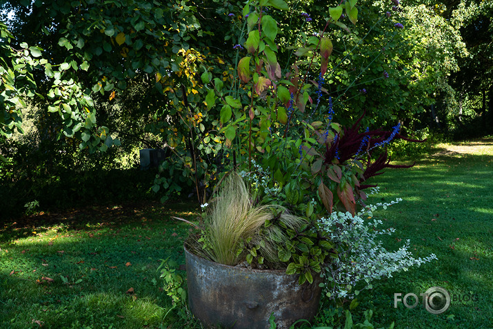 koncerts Lantes muiižā par godu Haraldam Sīmanim 