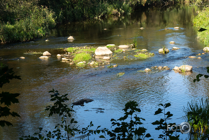 koncerts Lantes muiižā par godu Haraldam Sīmanim 
