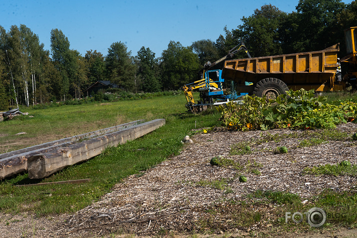 koncerts Lantes muiižā par godu Haraldam Sīmanim 