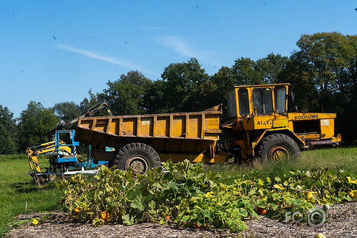 koncerts Lantes muiižā par godu Haraldam Sīmanim 