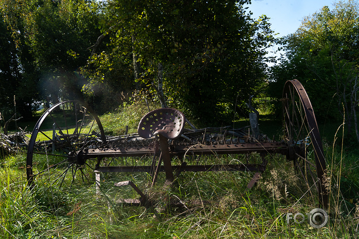 koncerts Lantes muiižā par godu Haraldam Sīmanim 