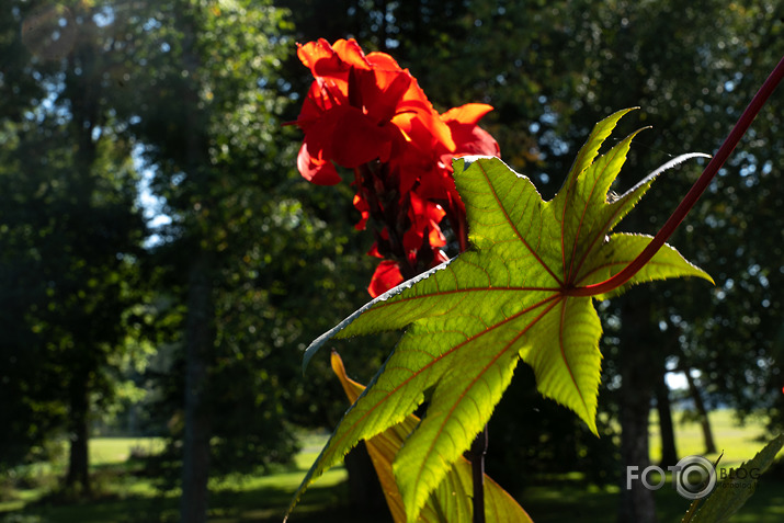koncerts Lantes muiižā par godu Haraldam Sīmanim 
