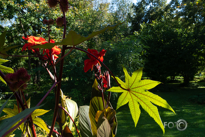 koncerts Lantes muiižā par godu Haraldam Sīmanim 