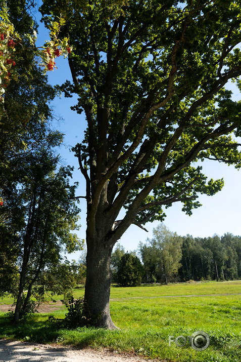 koncerts Lantes muiižā par godu Haraldam Sīmanim 