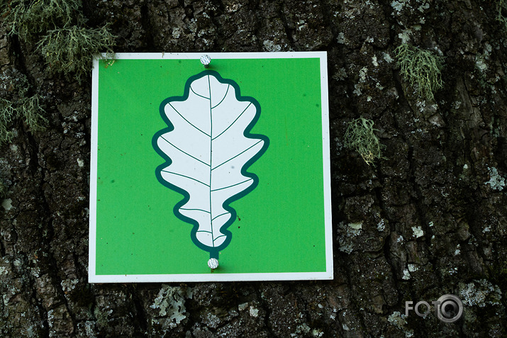 koncerts Lantes muiižā par godu Haraldam Sīmanim 