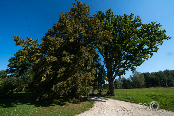 koncerts Lantes muiižā par godu Haraldam Sīmanim 