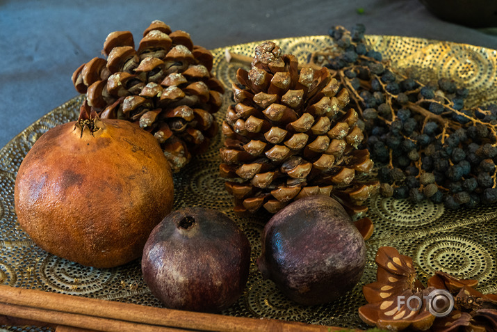 koncerts Lantes muiižā par godu Haraldam Sīmanim 