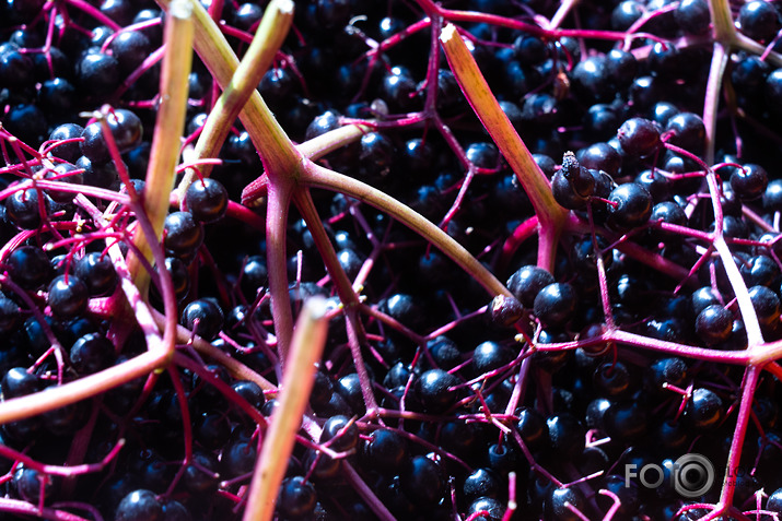 koncerts Lantes muiižā par godu Haraldam Sīmanim 