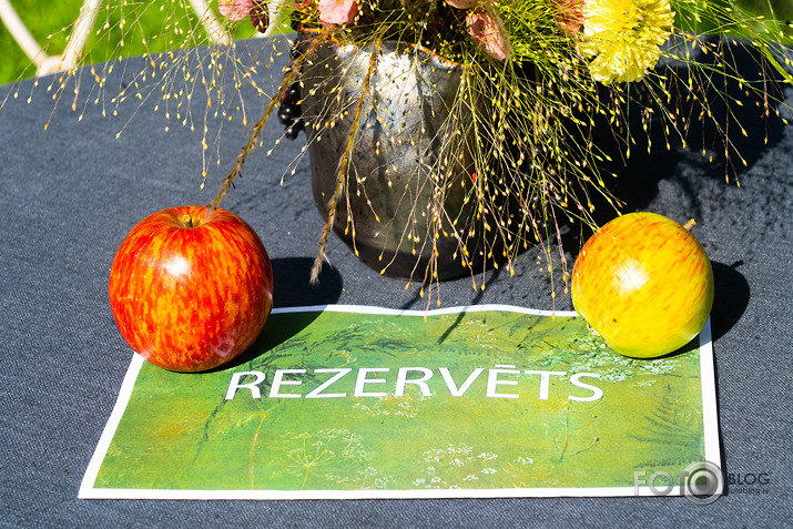 koncerts Lantes muiižā par godu Haraldam Sīmanim 