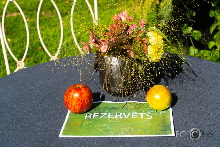 koncerts Lantes muiižā par godu Haraldam Sīmanim 