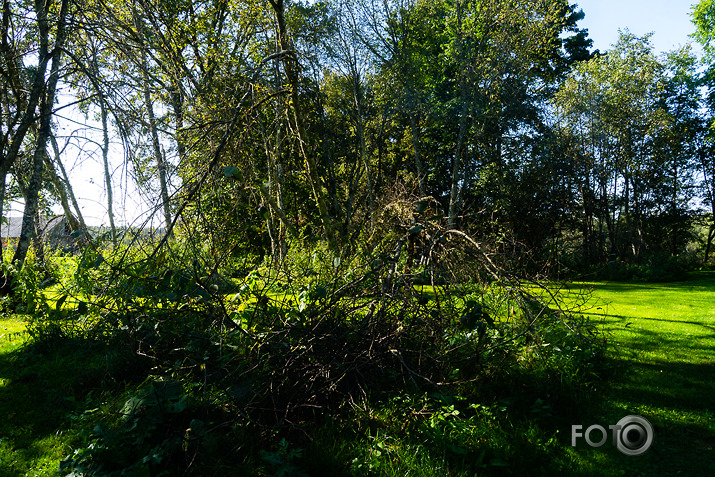 koncerts Lantes muiižā par godu Haraldam Sīmanim 