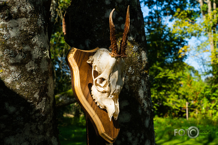 koncerts Lantes muiižā par godu Haraldam Sīmanim 