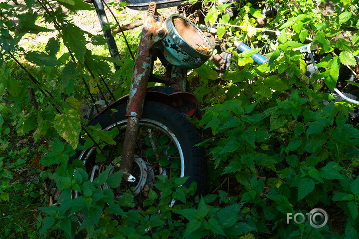 koncerts Lantes muiižā par godu Haraldam Sīmanim 