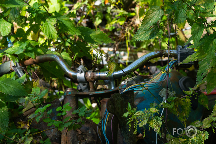 koncerts Lantes muiižā par godu Haraldam Sīmanim 