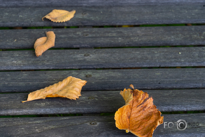 koncerts Lantes muiižā par godu Haraldam Sīmanim 