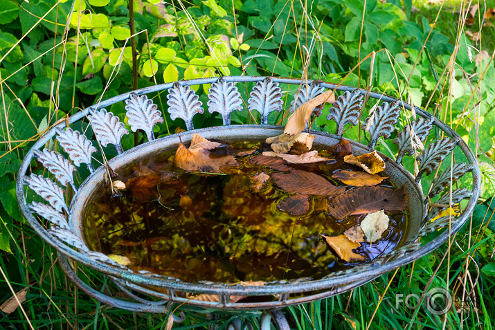 koncerts Lantes muiižā par godu Haraldam Sīmanim 