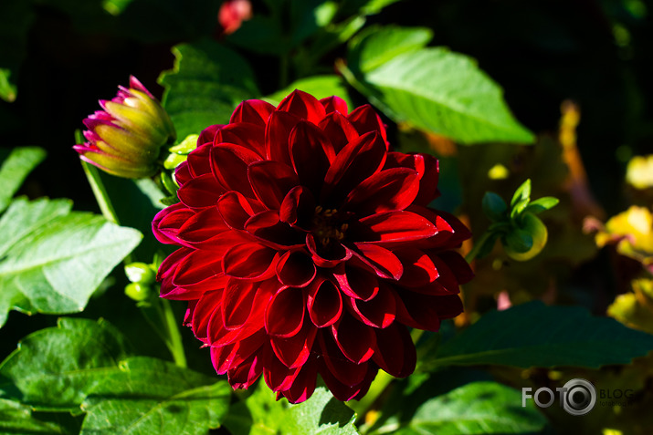 koncerts Lantes muiižā par godu Haraldam Sīmanim 