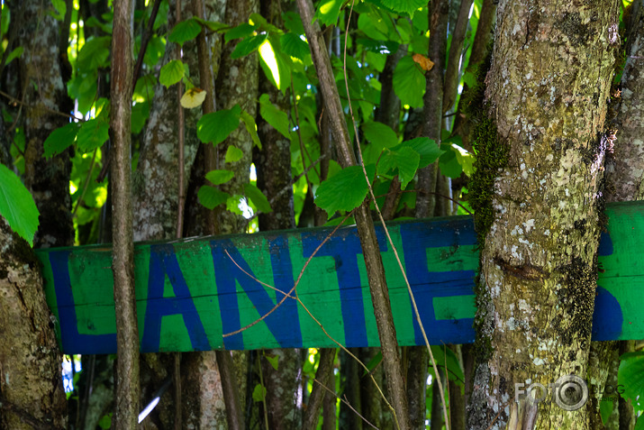 koncerts Lantes muiižā par godu Haraldam Sīmanim 