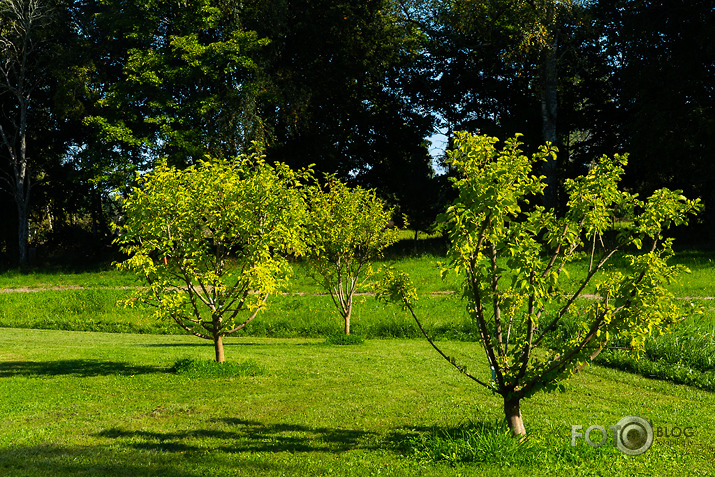 koncerts Lantes muiižā par godu Haraldam Sīmanim 
