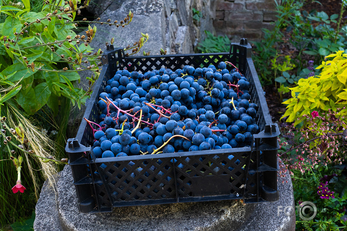 koncerts Lantes muiižā par godu Haraldam Sīmanim 