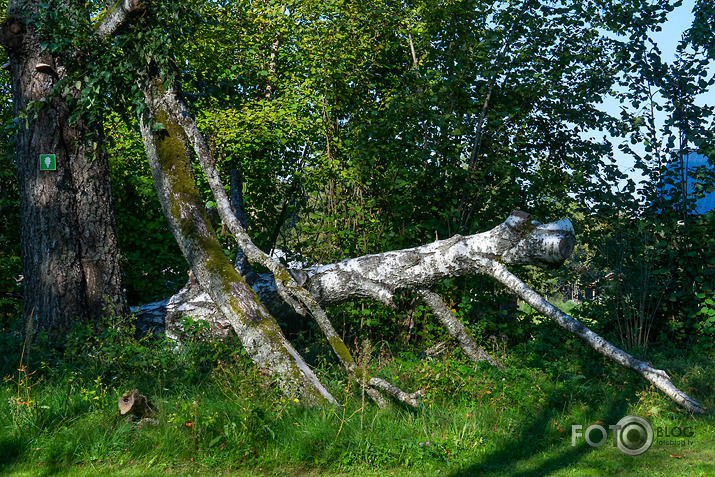 koncerts Lantes muiižā par godu Haraldam Sīmanim 