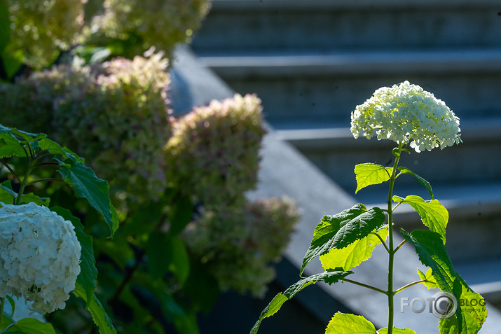 koncerts Lantes muiižā par godu Haraldam Sīmanim 