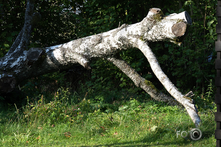 koncerts Lantes muiižā par godu Haraldam Sīmanim 