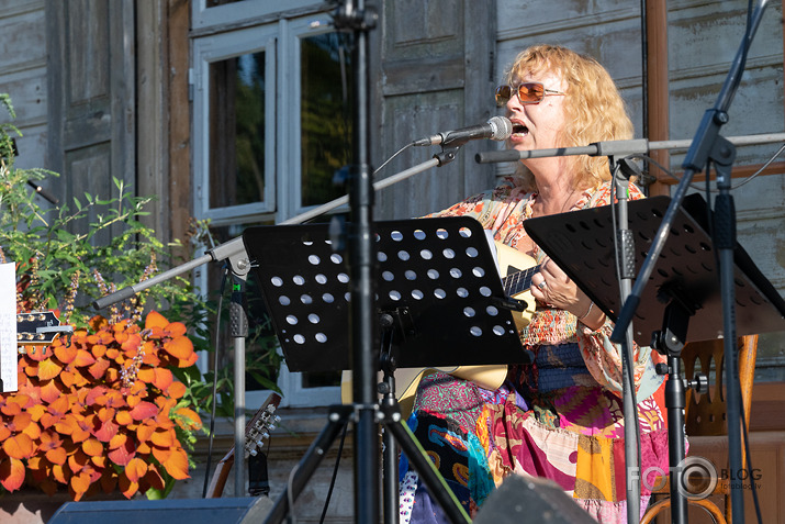 koncerts Lantes muiižā par godu Haraldam Sīmanim 